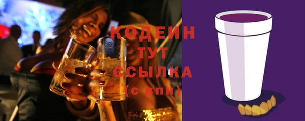 МДПВ Нязепетровск