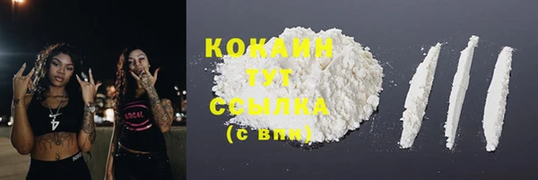 первитин Новозыбков