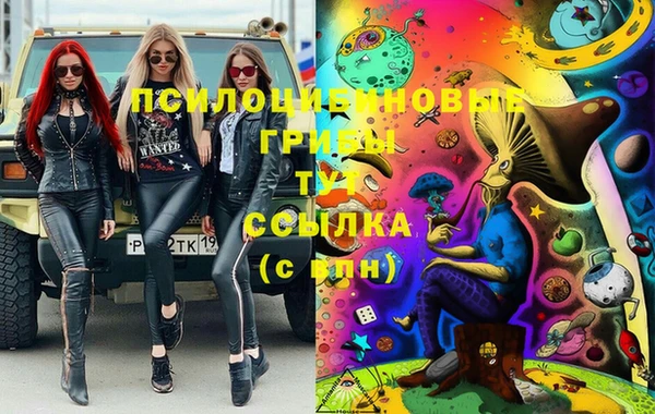 сатива Губаха
